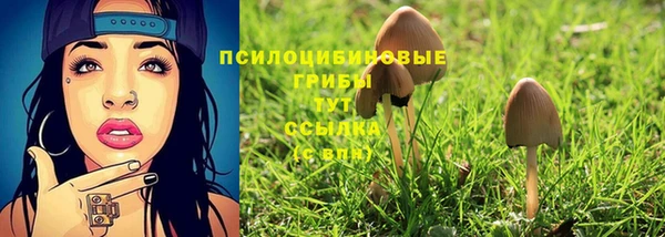 гидра Армянск