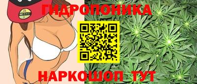 гидра Ярцево